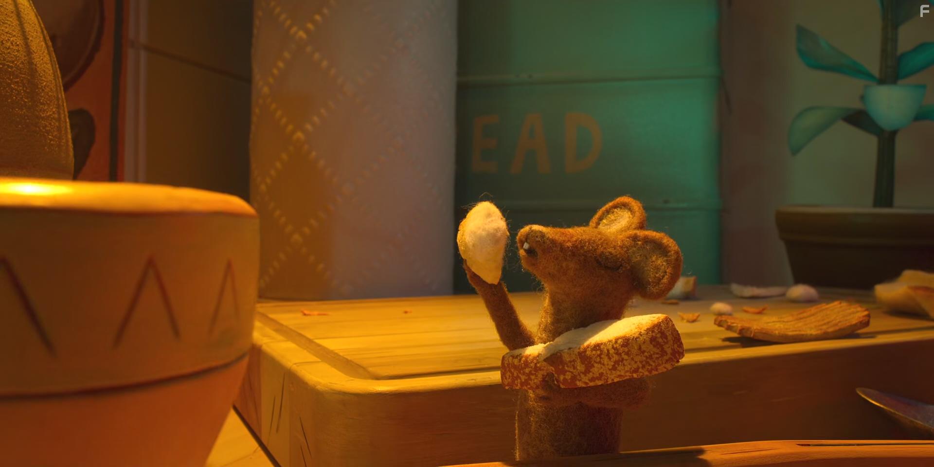 Robin de roodborst (2021)