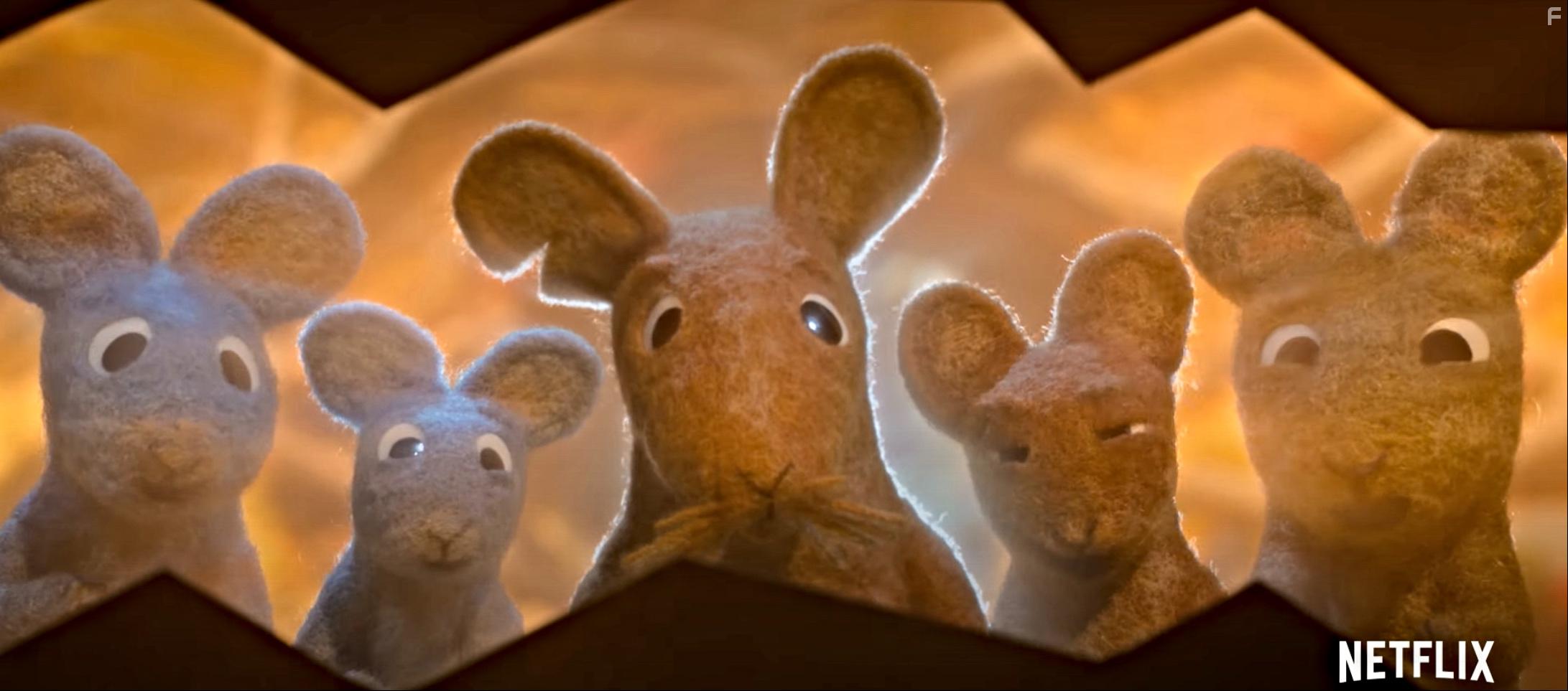 Robin de roodborst (2021)