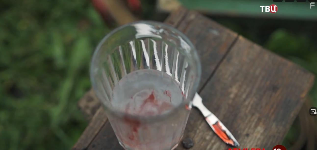 Доктор Иванов. Своя земля #2