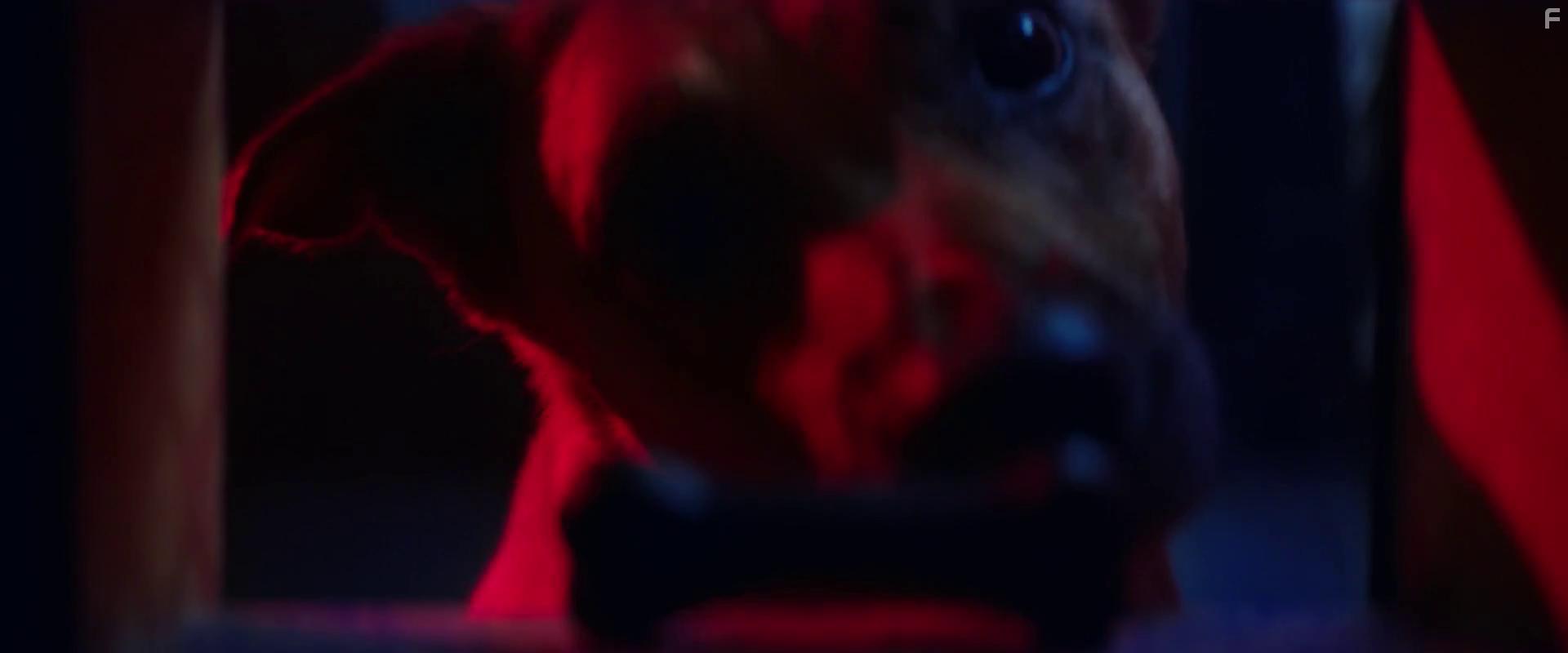 Le calendrier (2021)