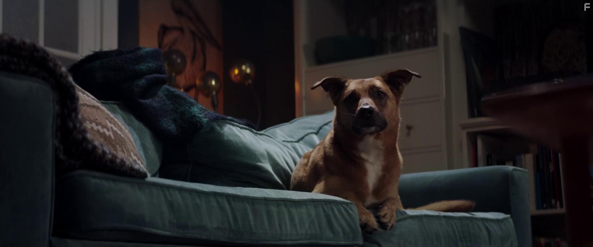 Le calendrier (2021)