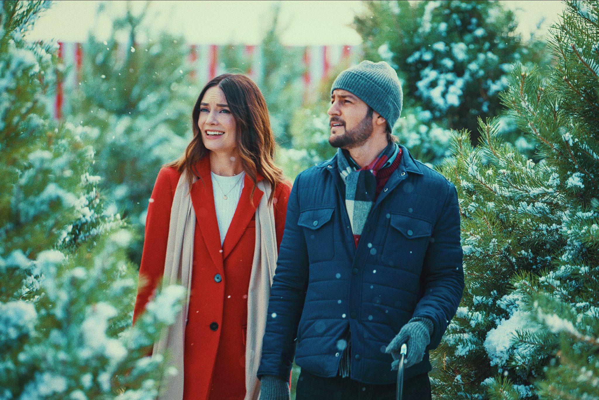 12 рождественских свиданий