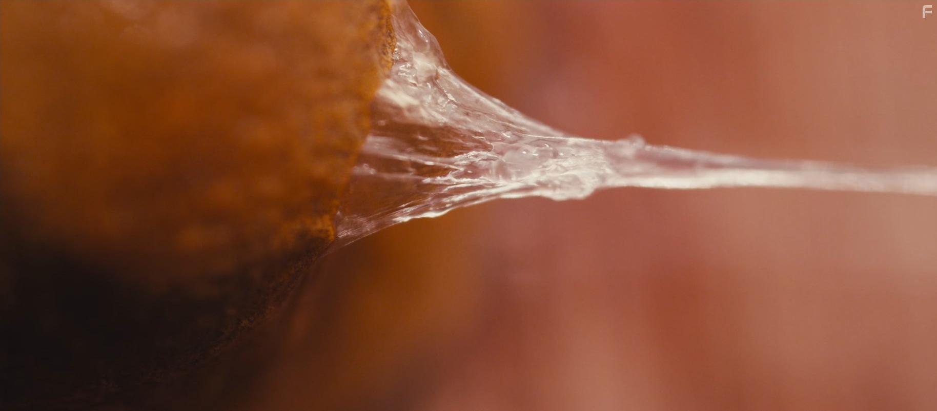 Masking Threshold (2021)