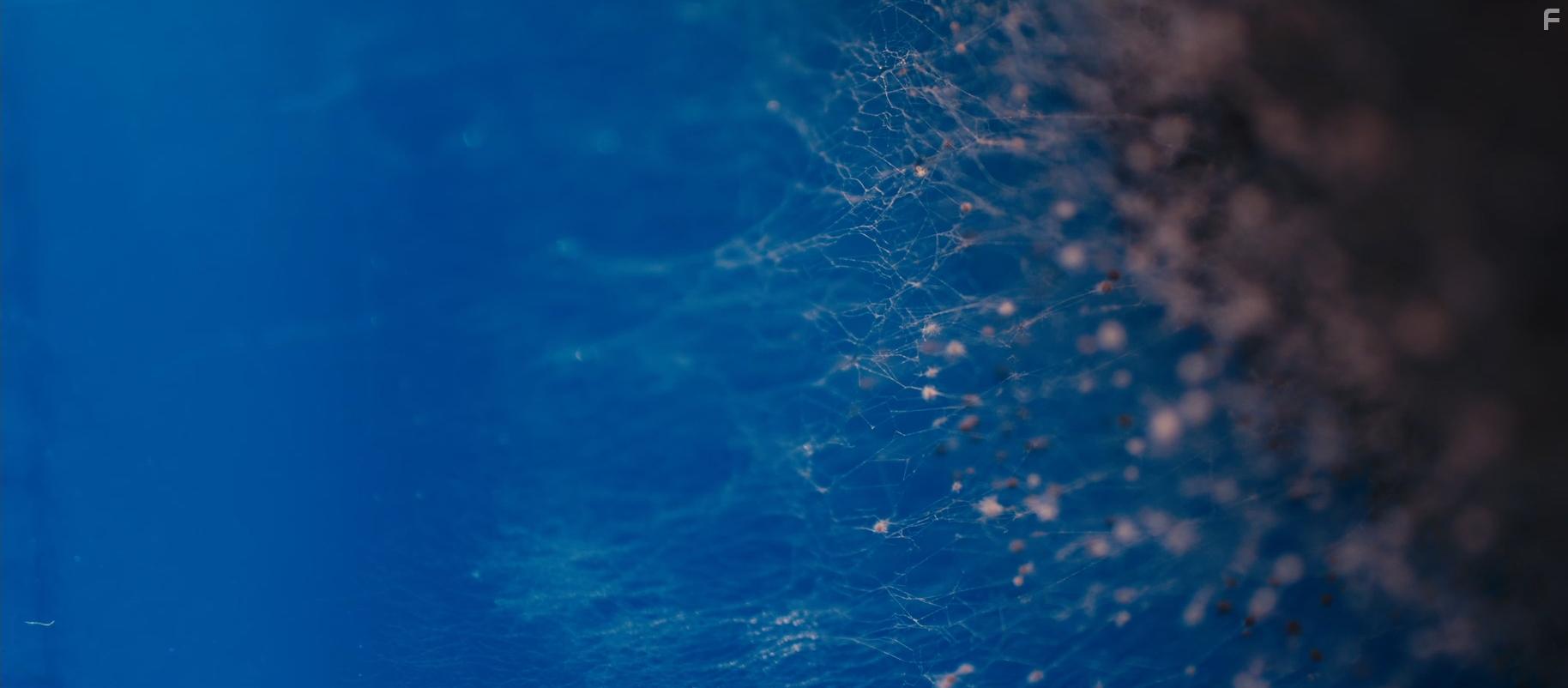 Masking Threshold (2021)