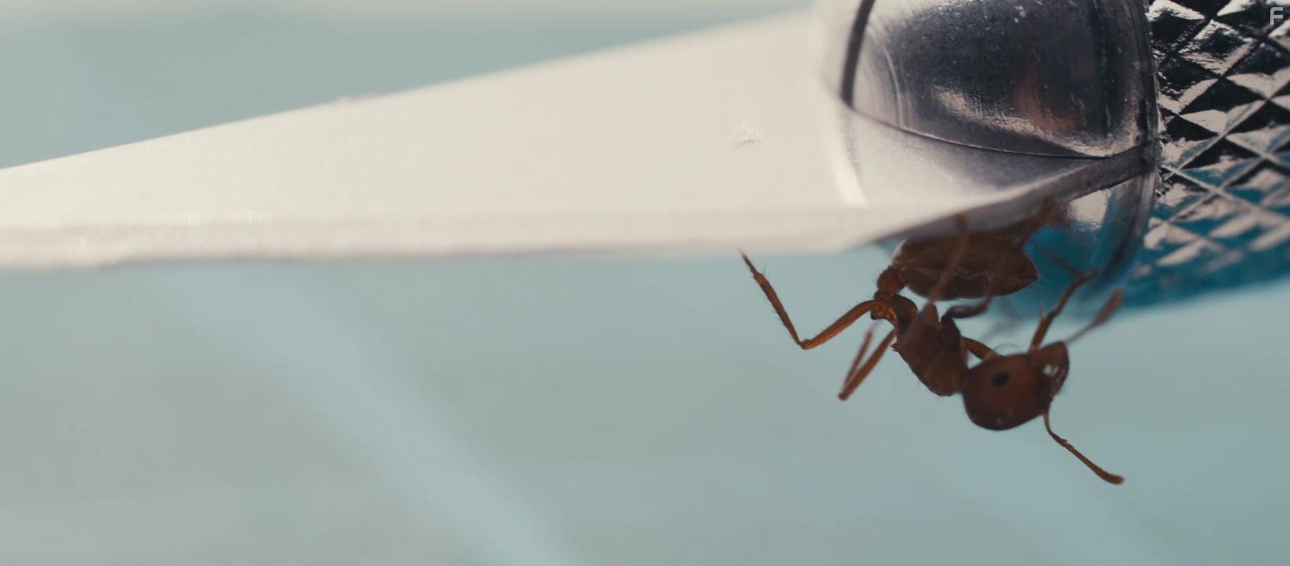 Masking Threshold (2021)