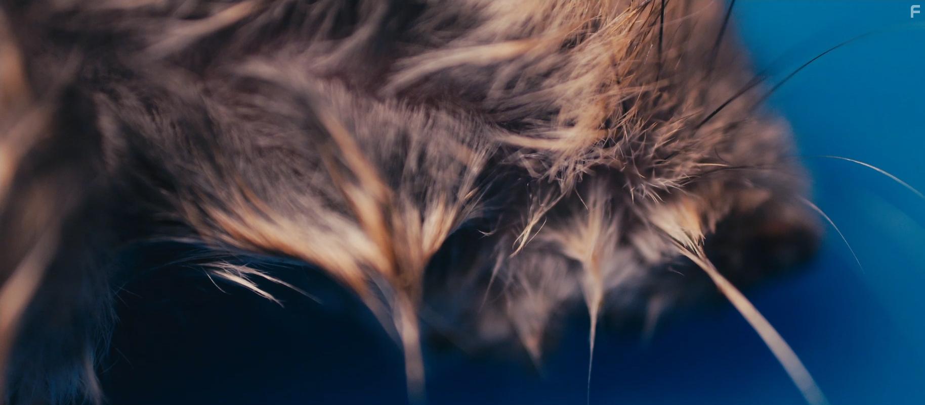 Masking Threshold (2021)