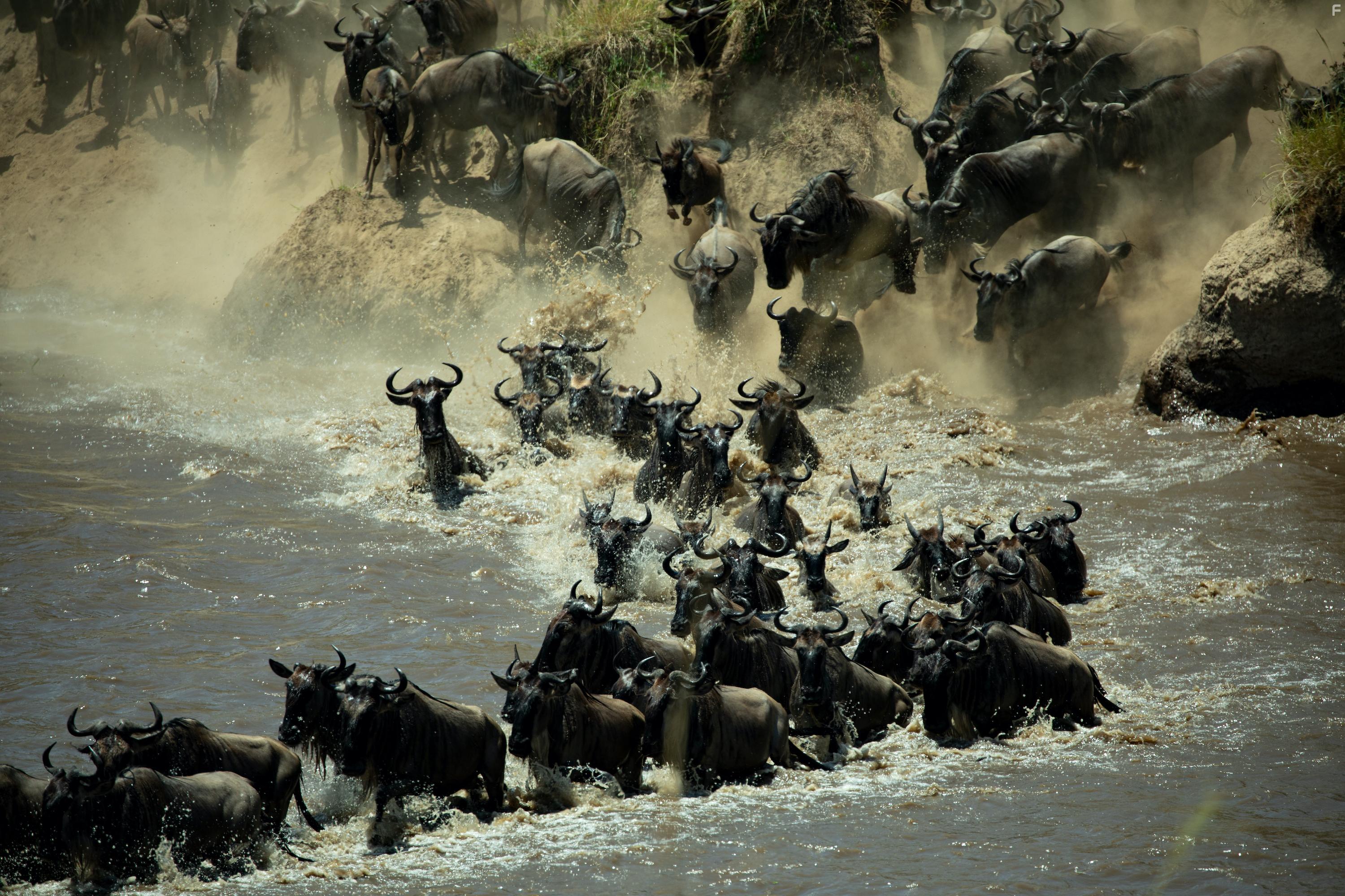 Welcome to Earth (2021)