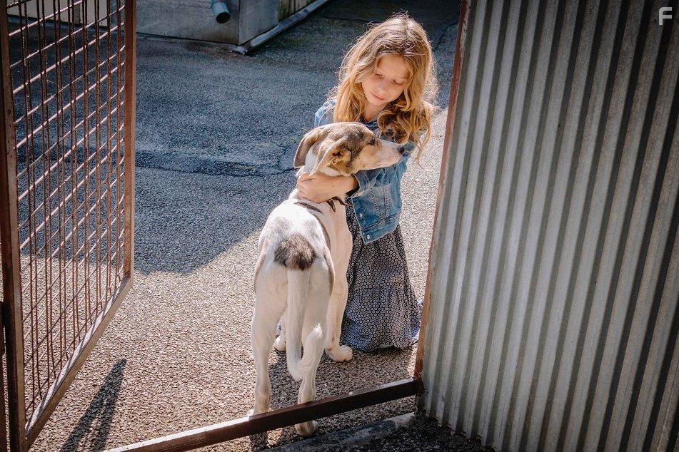 Невероятные приключения Гампи