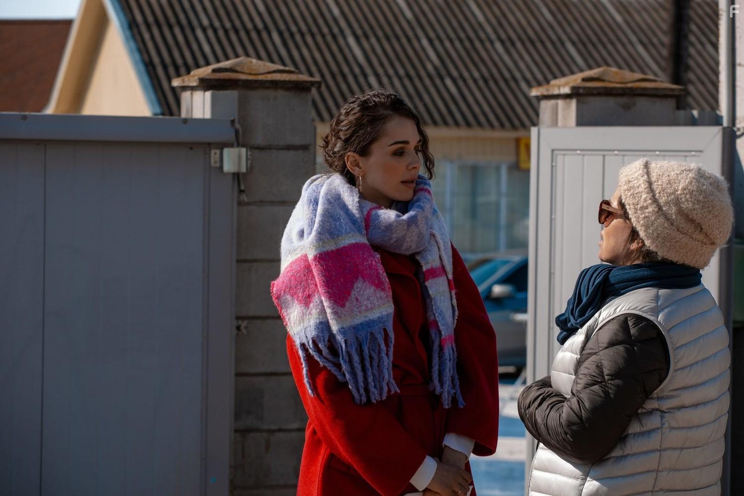 Аист на крыше #8