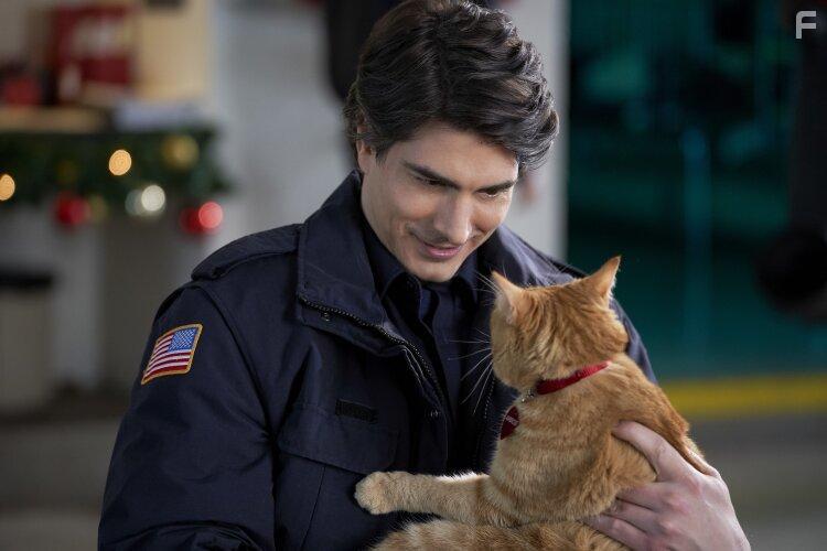 Brandon Routh in The Nine Kittens of Christmas (2021)