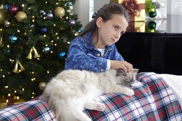 Linden McMillan in The Nine Kittens of Christmas (2021)