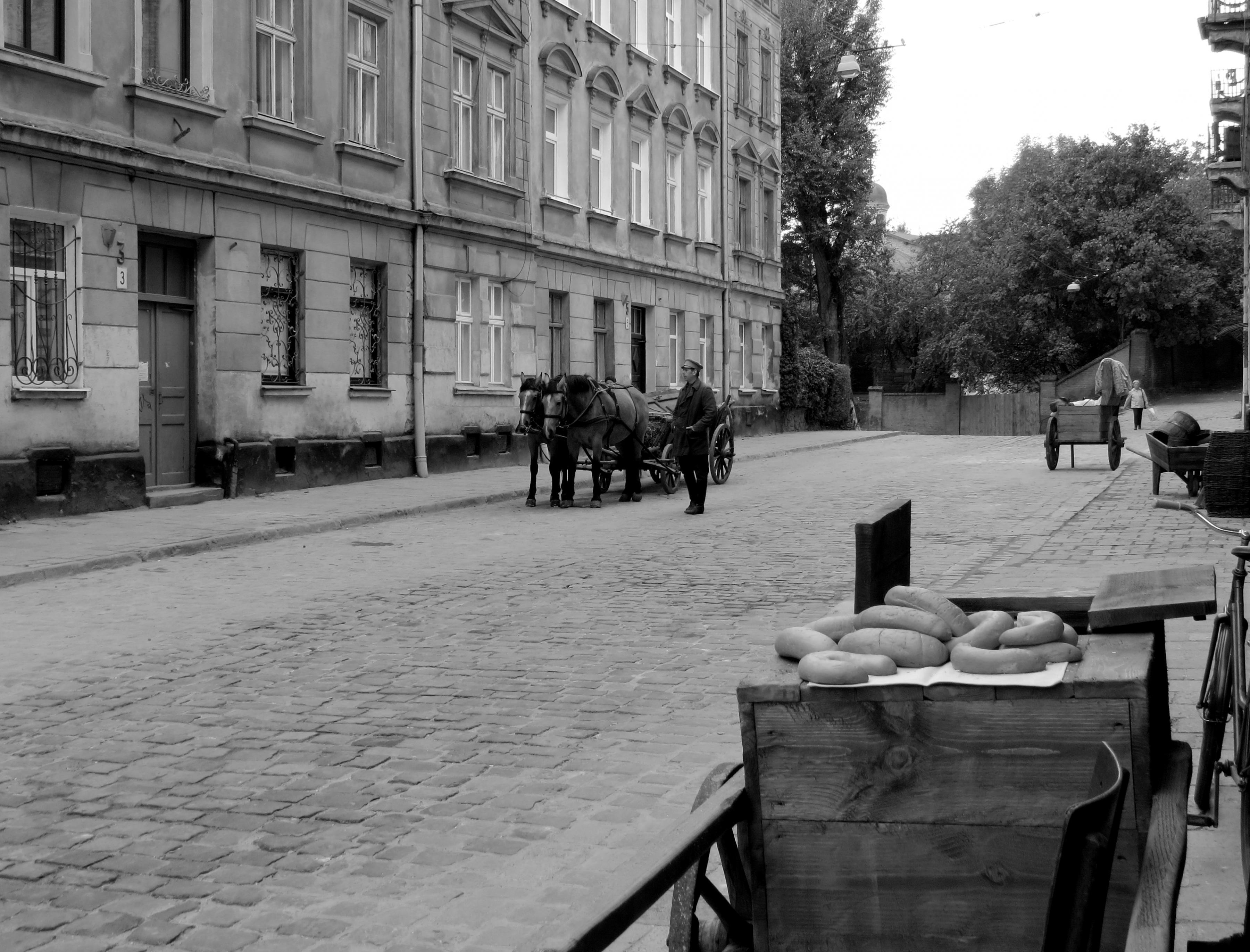 Волчье солнце #4