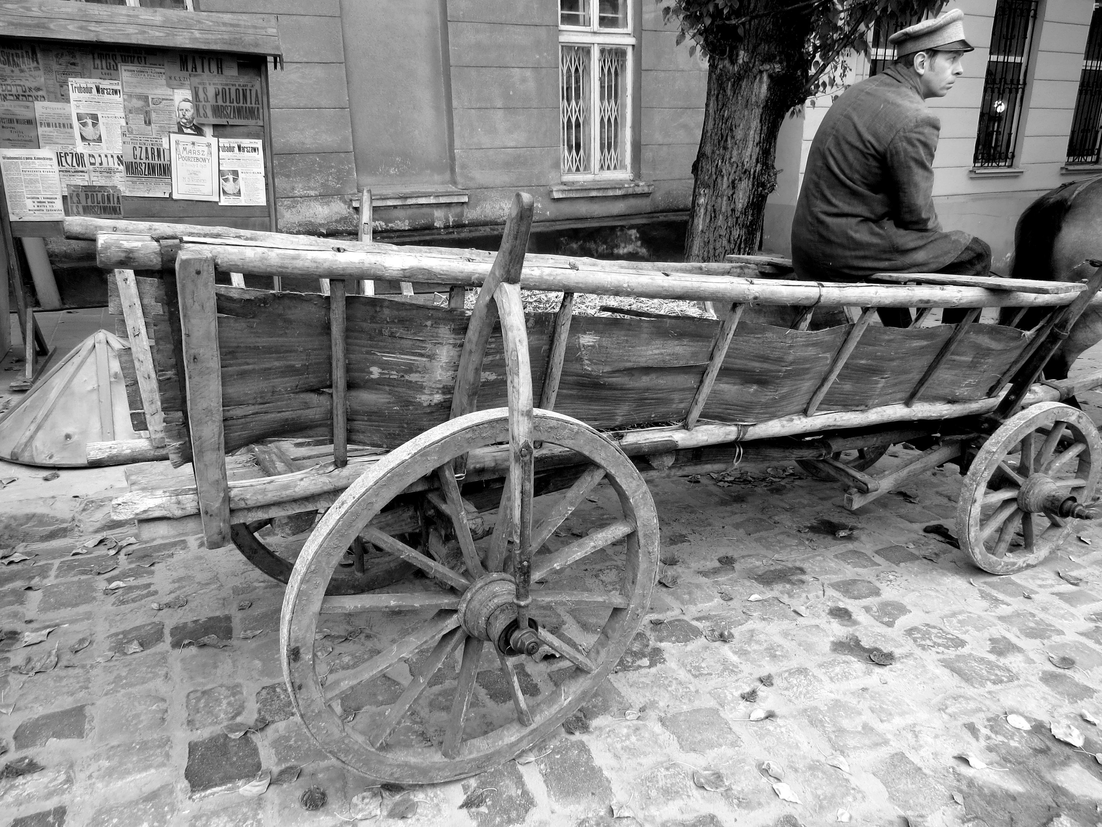 Волчье солнце #5