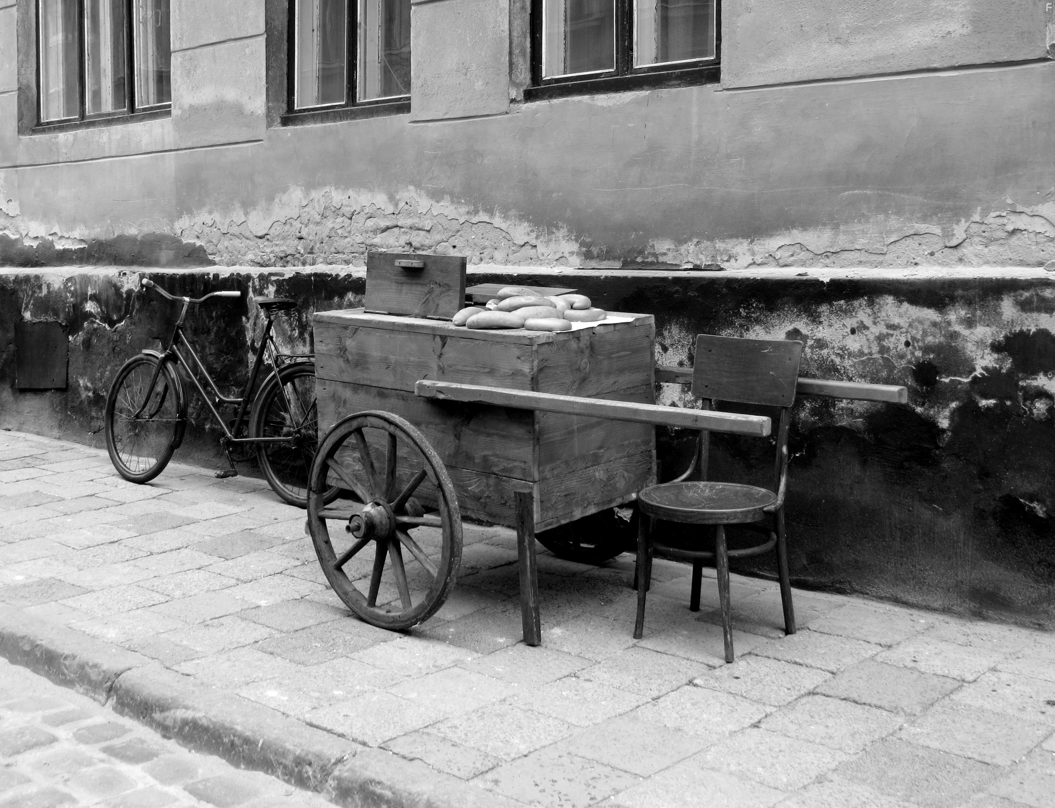 Волчье солнце #6