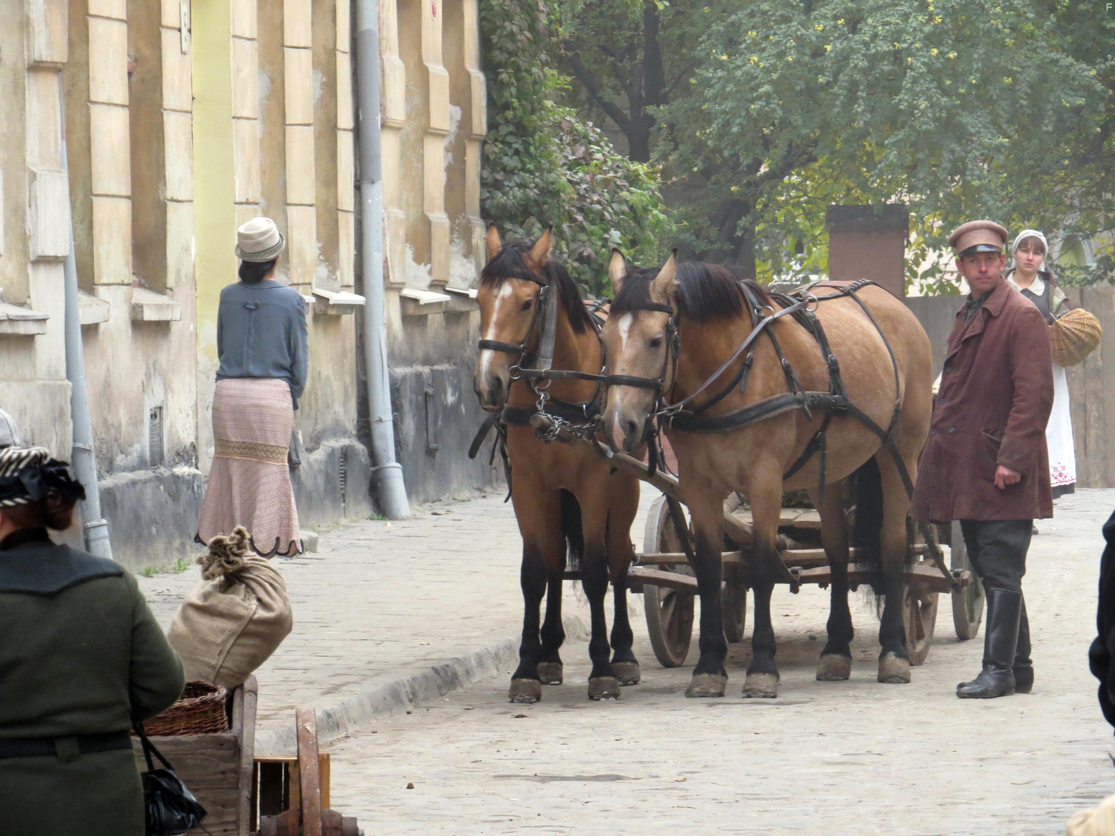 Волчье солнце #7