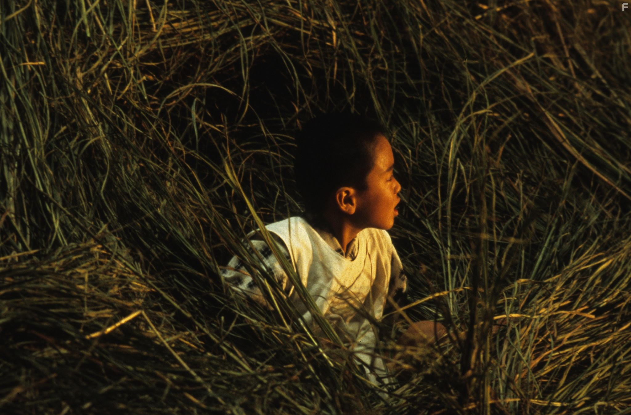 Еще нет (1993)