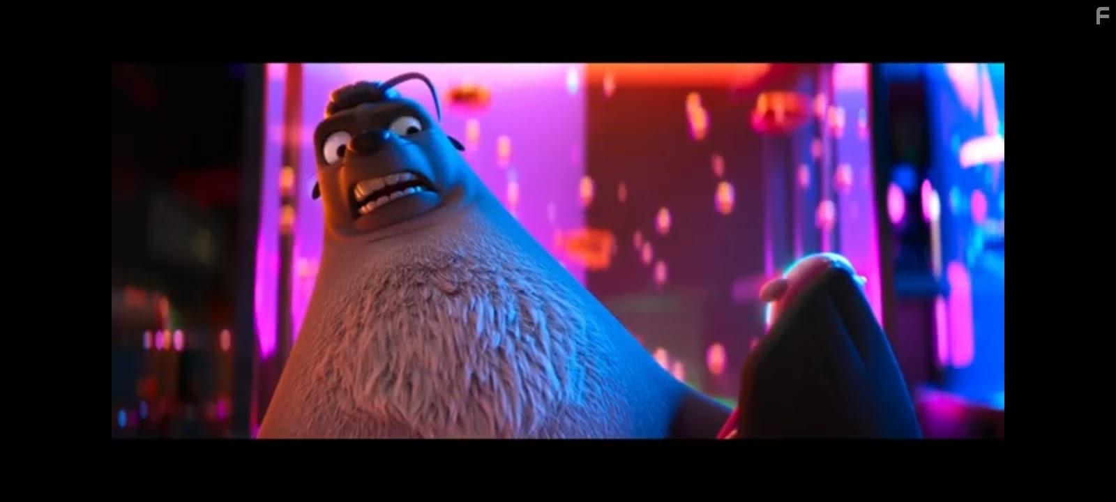 Команда котиков