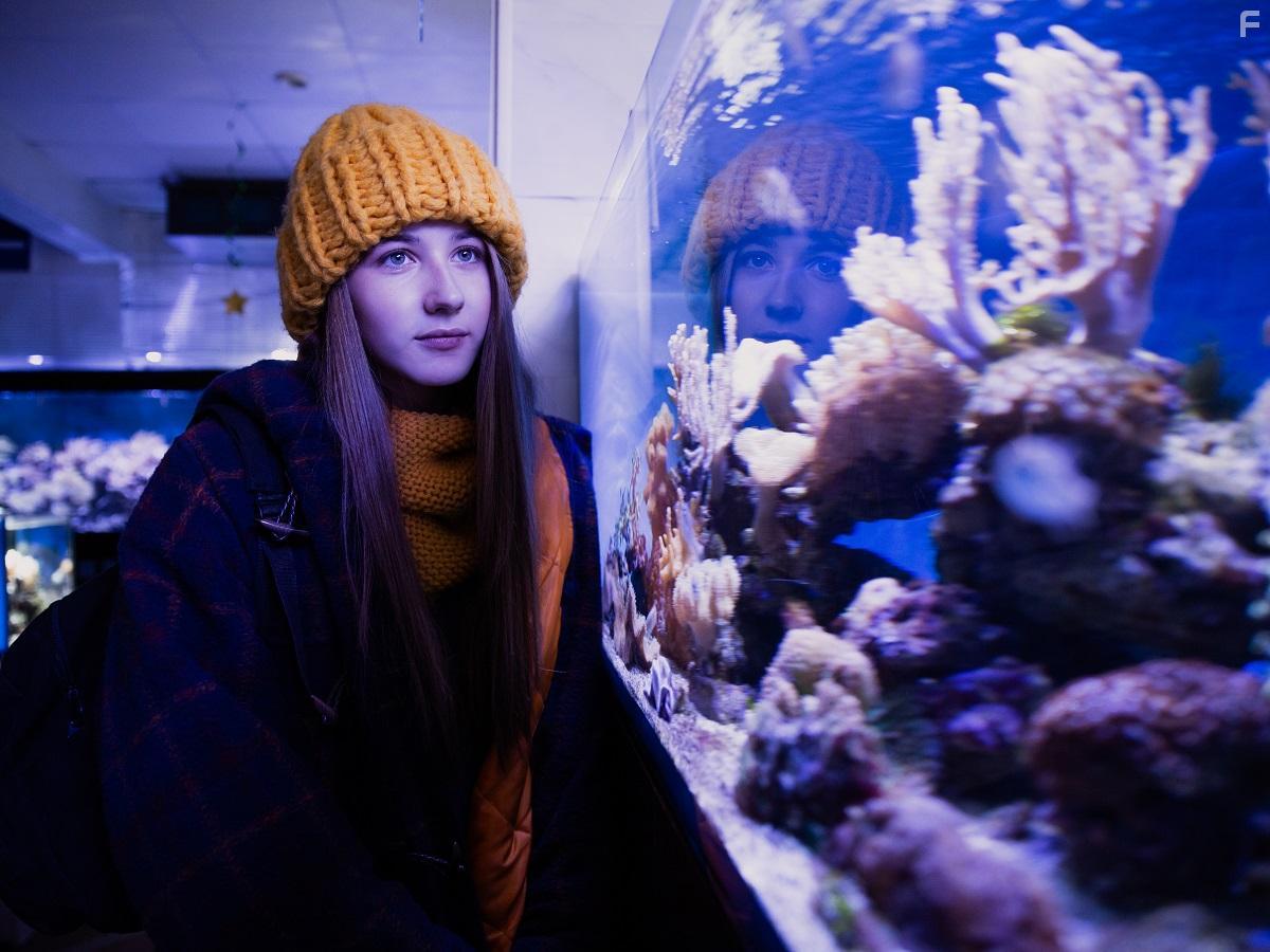 Комета Галлея (Расширенная версия) #14