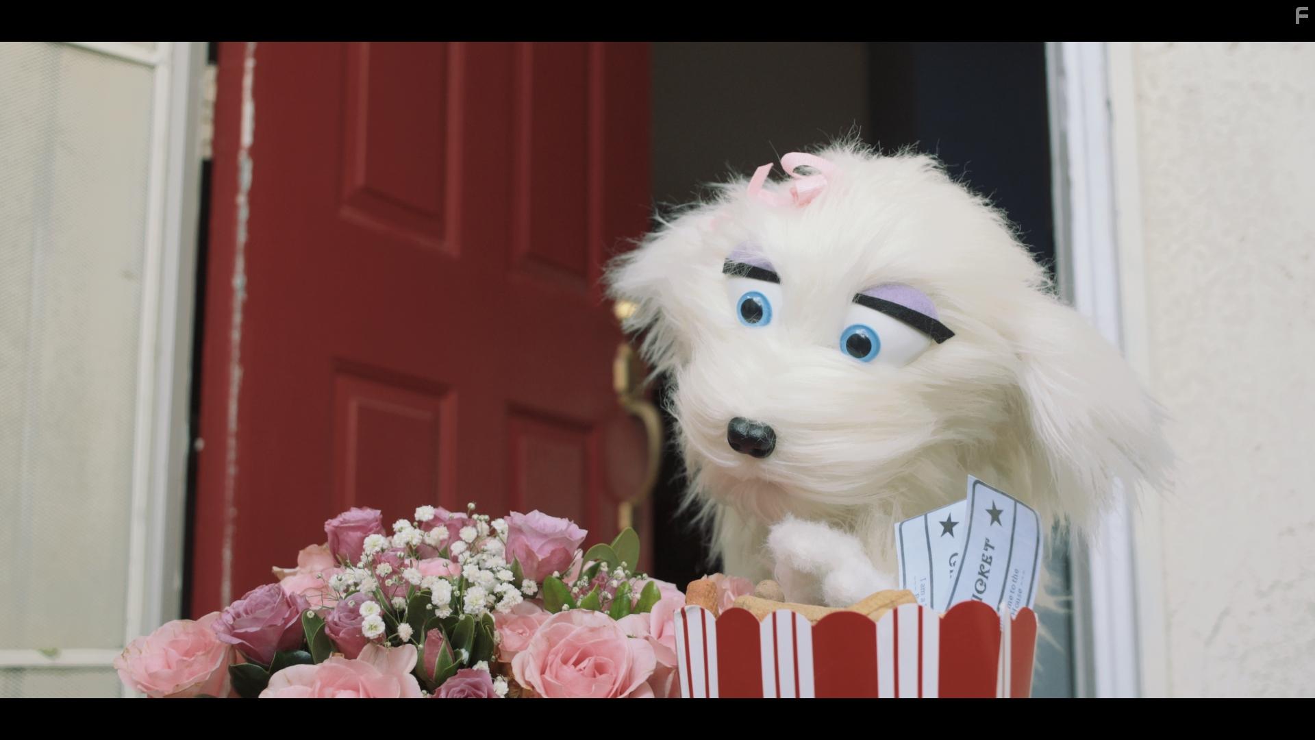 Gwen Hollander in Allan the Dog (2020)