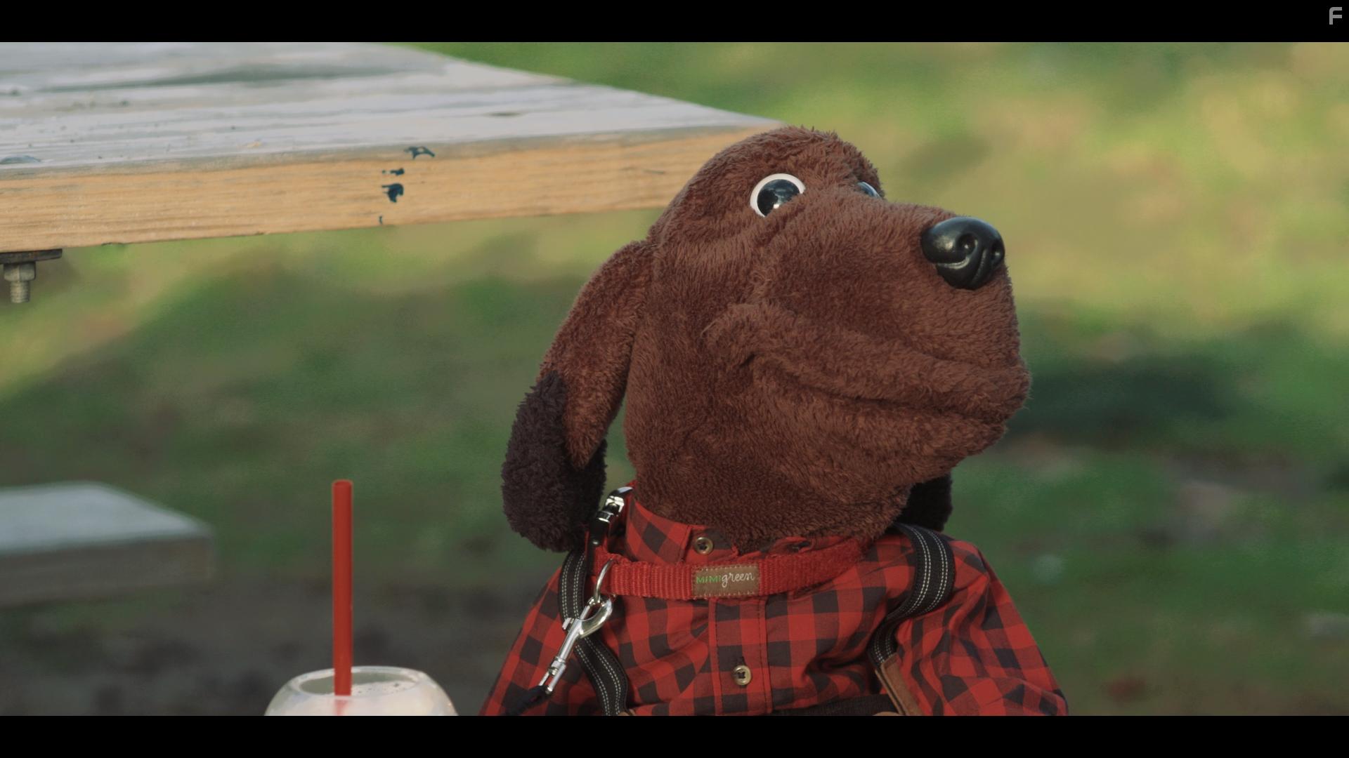 Allan the Dog (2020)