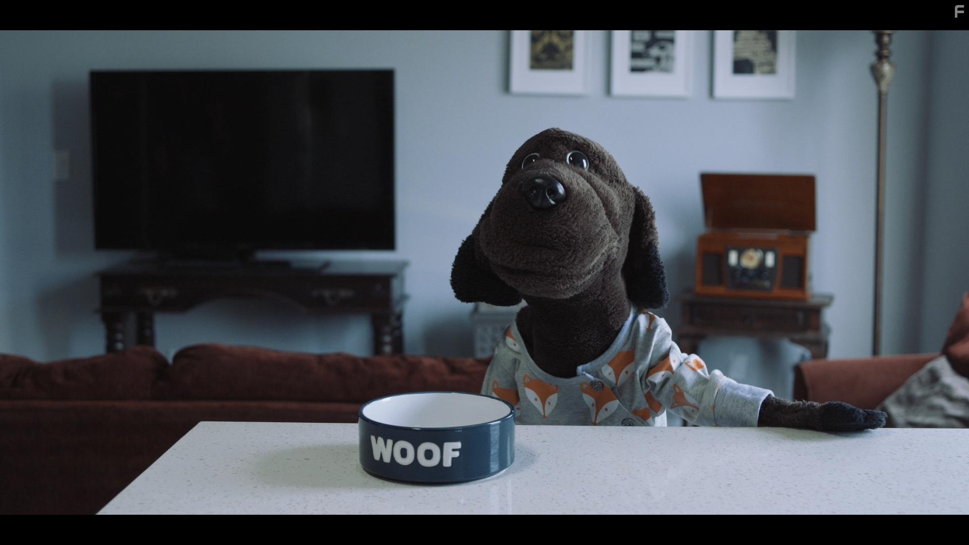 Allan the Dog (2020)