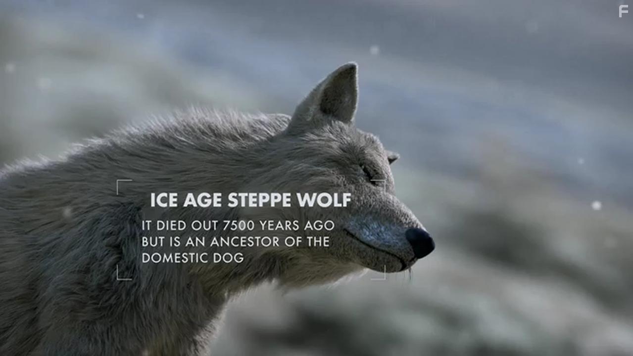 Lost Beasts of the Ice Age