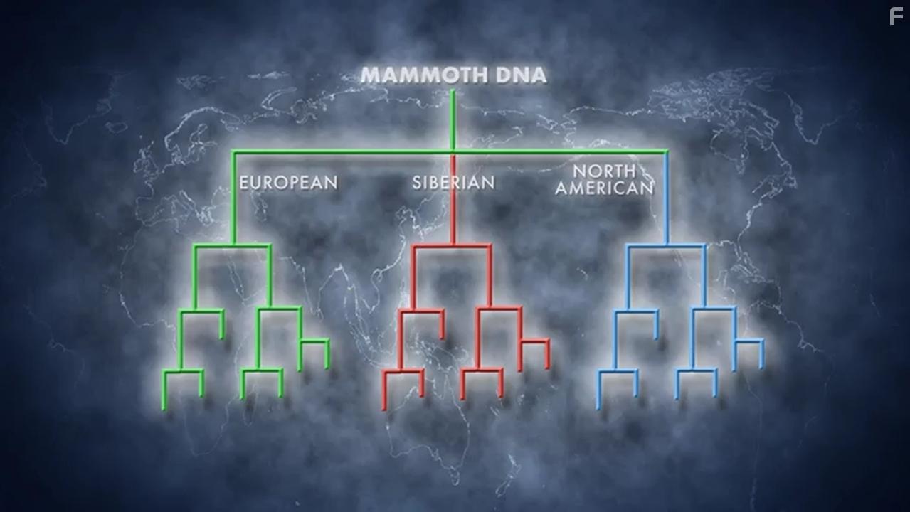 Lost Beasts of the Ice Age