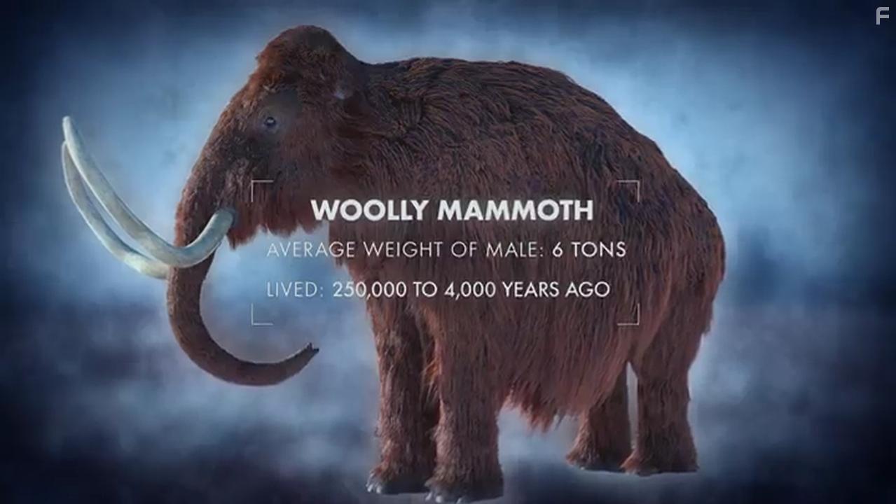 Lost Beasts of the Ice Age