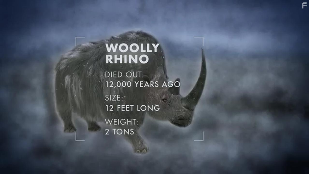 Lost Beasts of the Ice Age