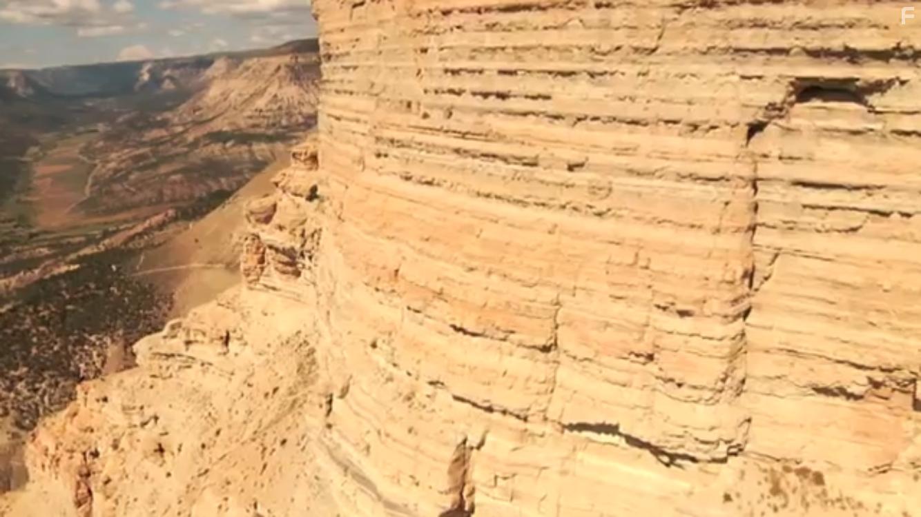 Evolution's Achilles' Heels (2014)