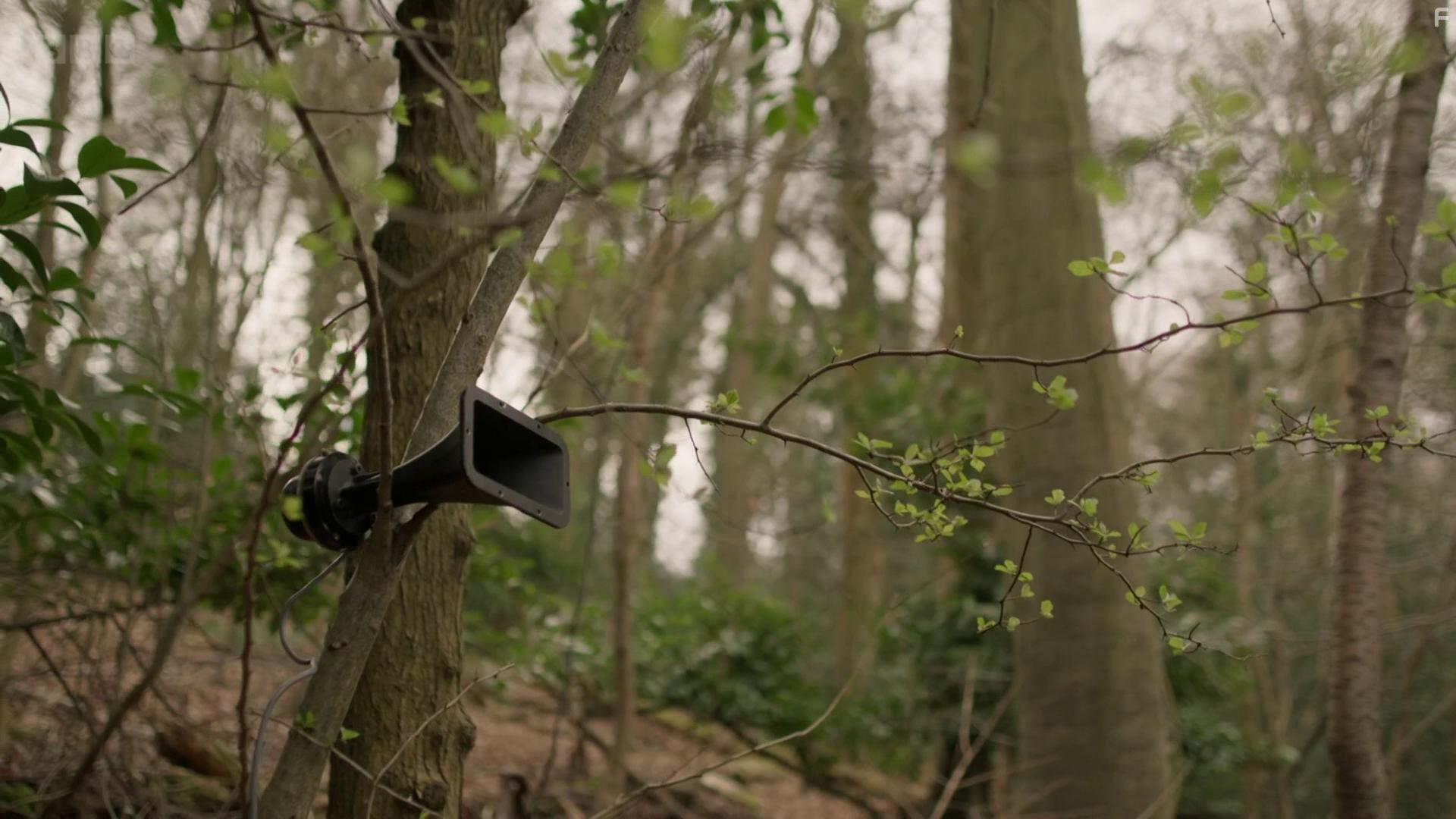 Attenborough's Wonder of Song (2022)