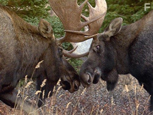 Arctic Secrets (2016)