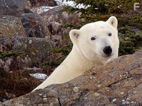 Arctic Secrets (2016)