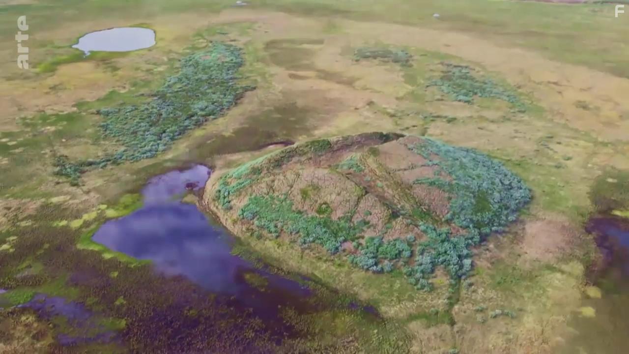 Rentiere auf dnnem Eis (2020)