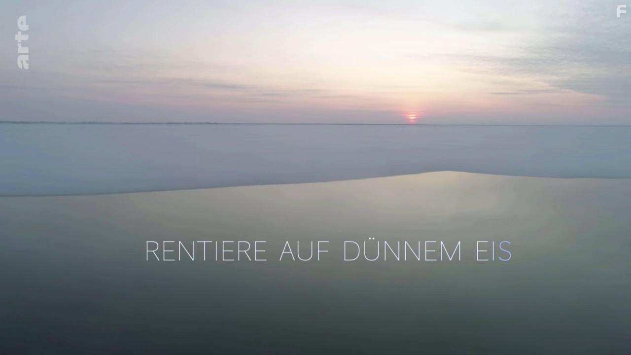 Rentiere auf dnnem Eis (2020)