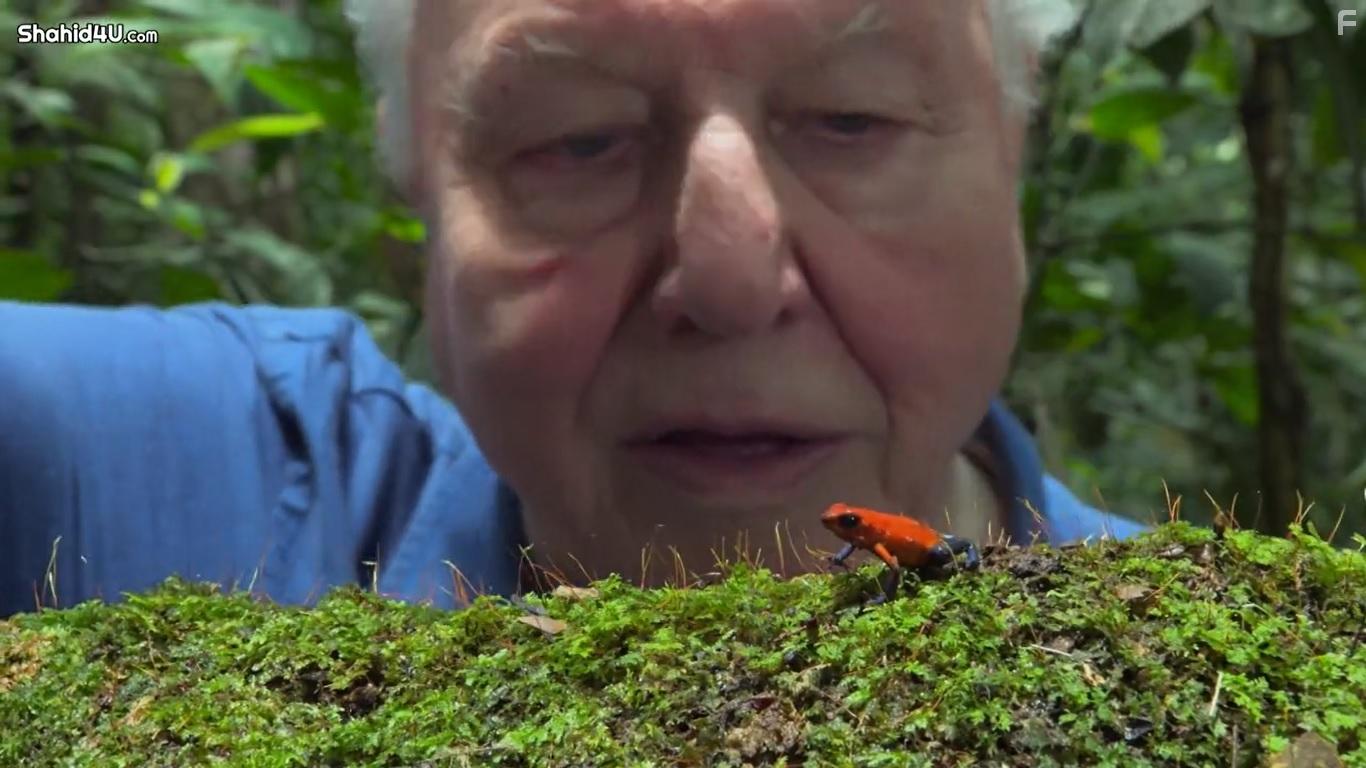 Life in Colour (2021)