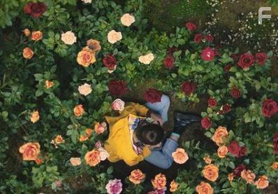 Grace Kaufman in The Sky Is Everywhere (2022)