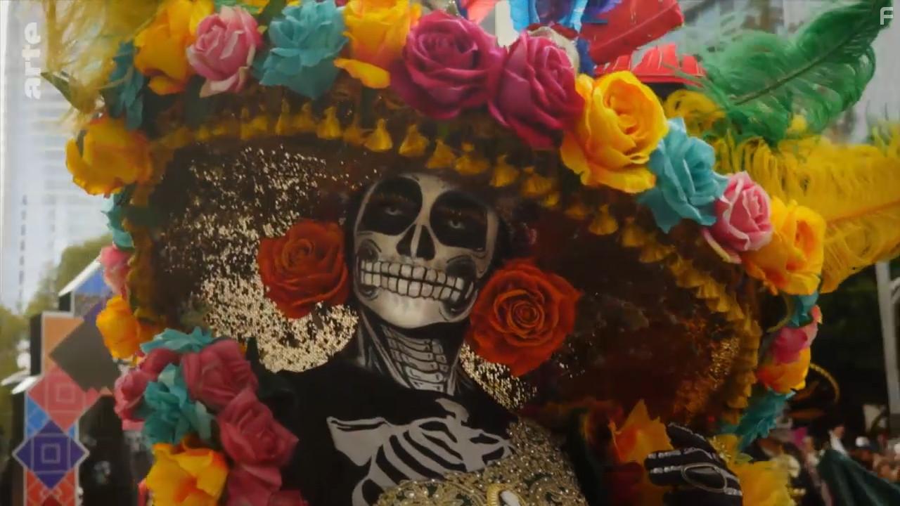 A Wild Year on Earth (2020)