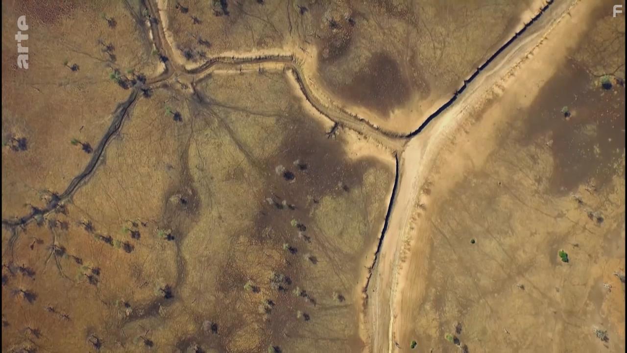 A Wild Year on Earth (2020)