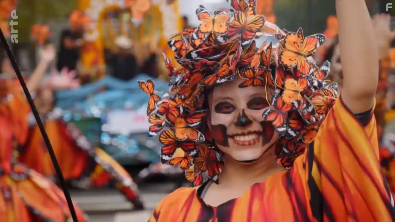 A Wild Year on Earth (2020)