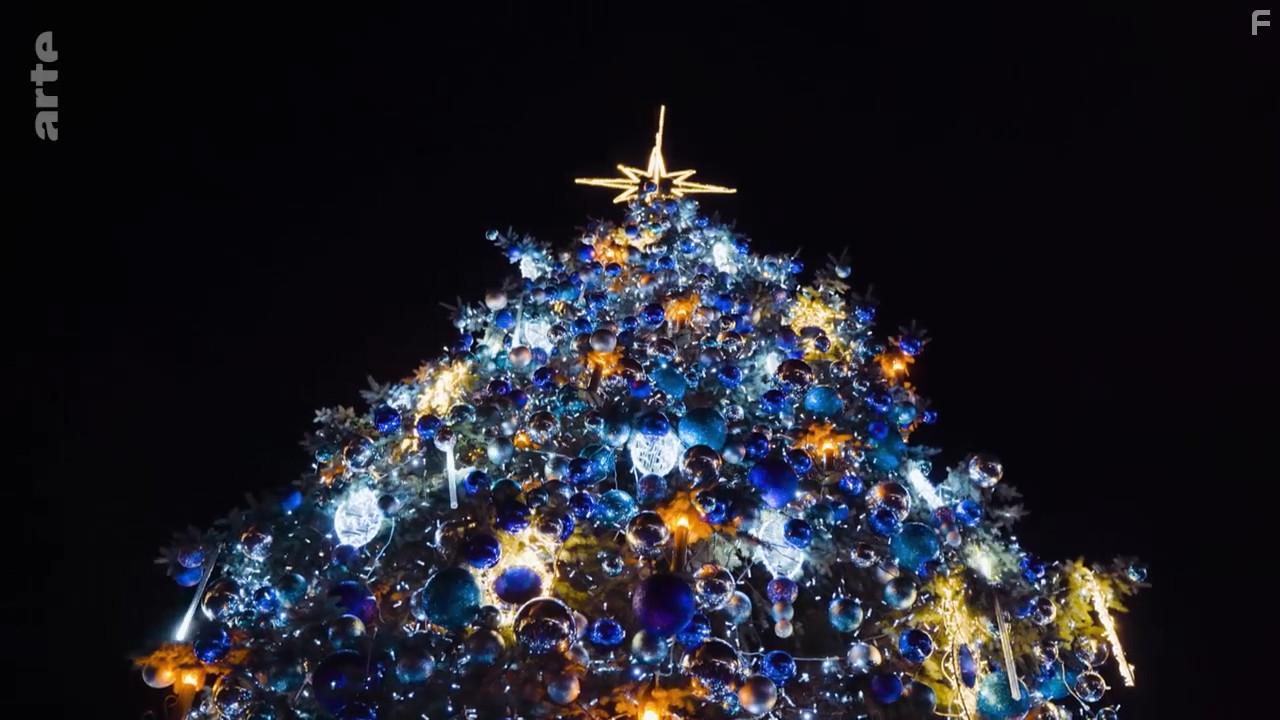 A Wild Year on Earth (2020)