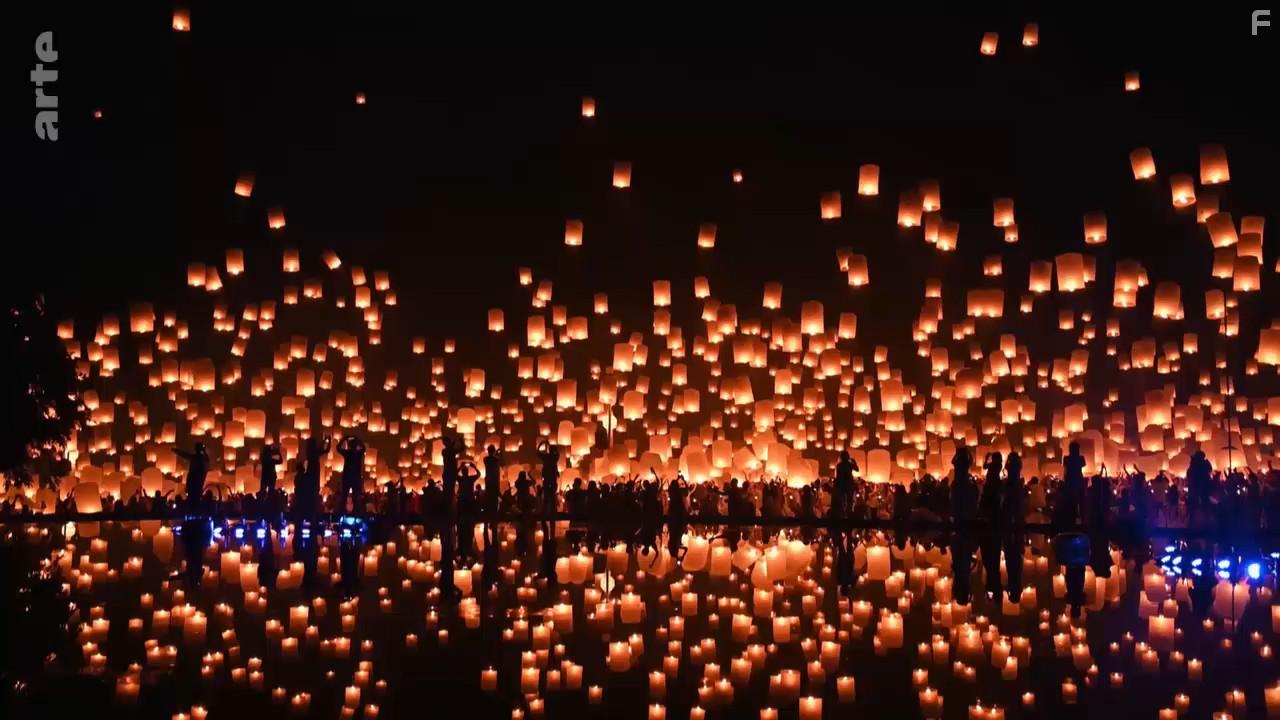 A Wild Year on Earth (2020)