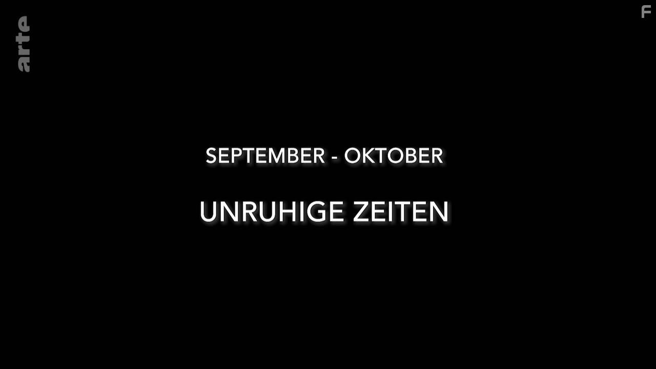 A Wild Year on Earth (2020)