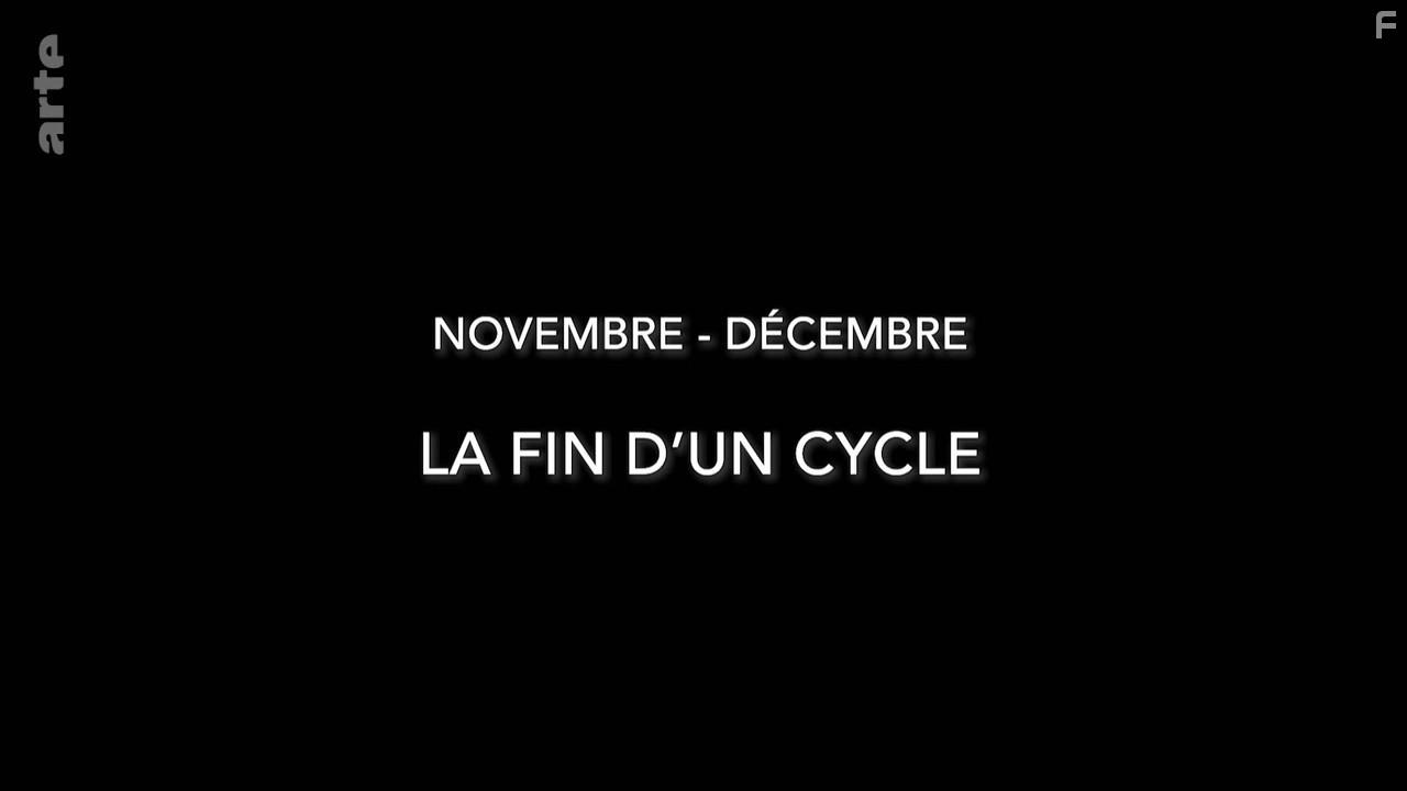 A Wild Year on Earth (2020)