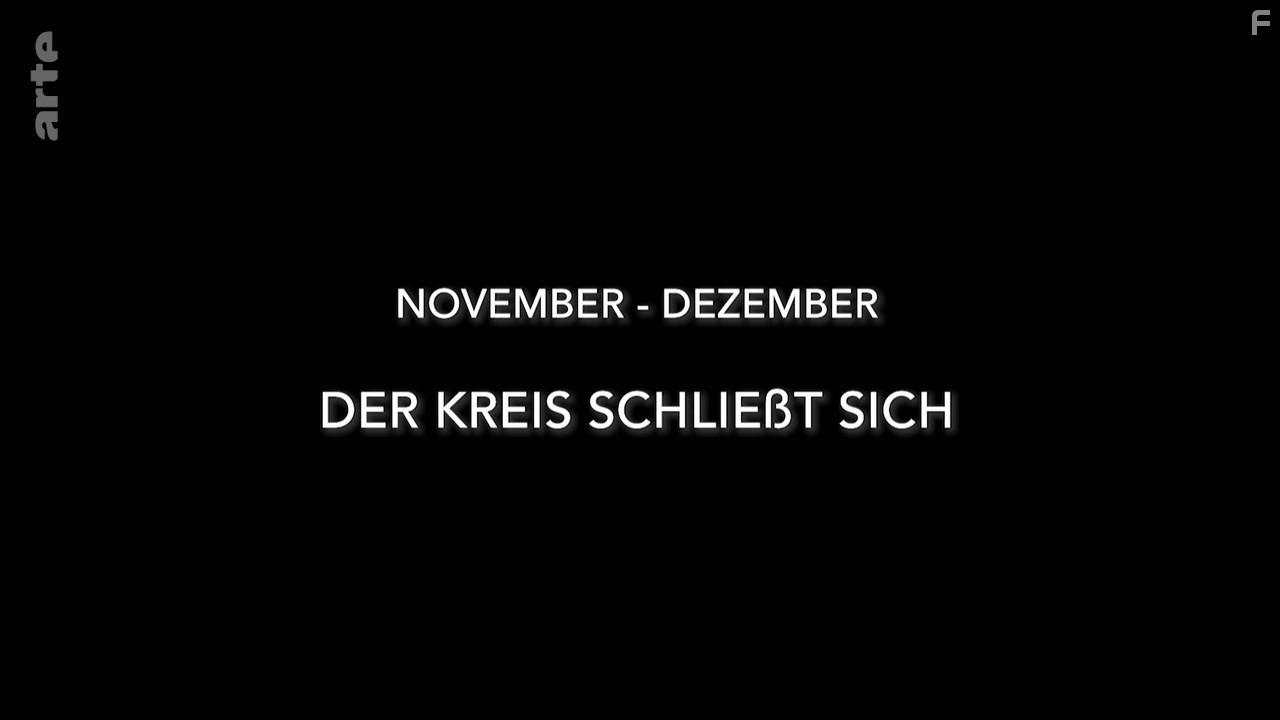 A Wild Year on Earth (2020)