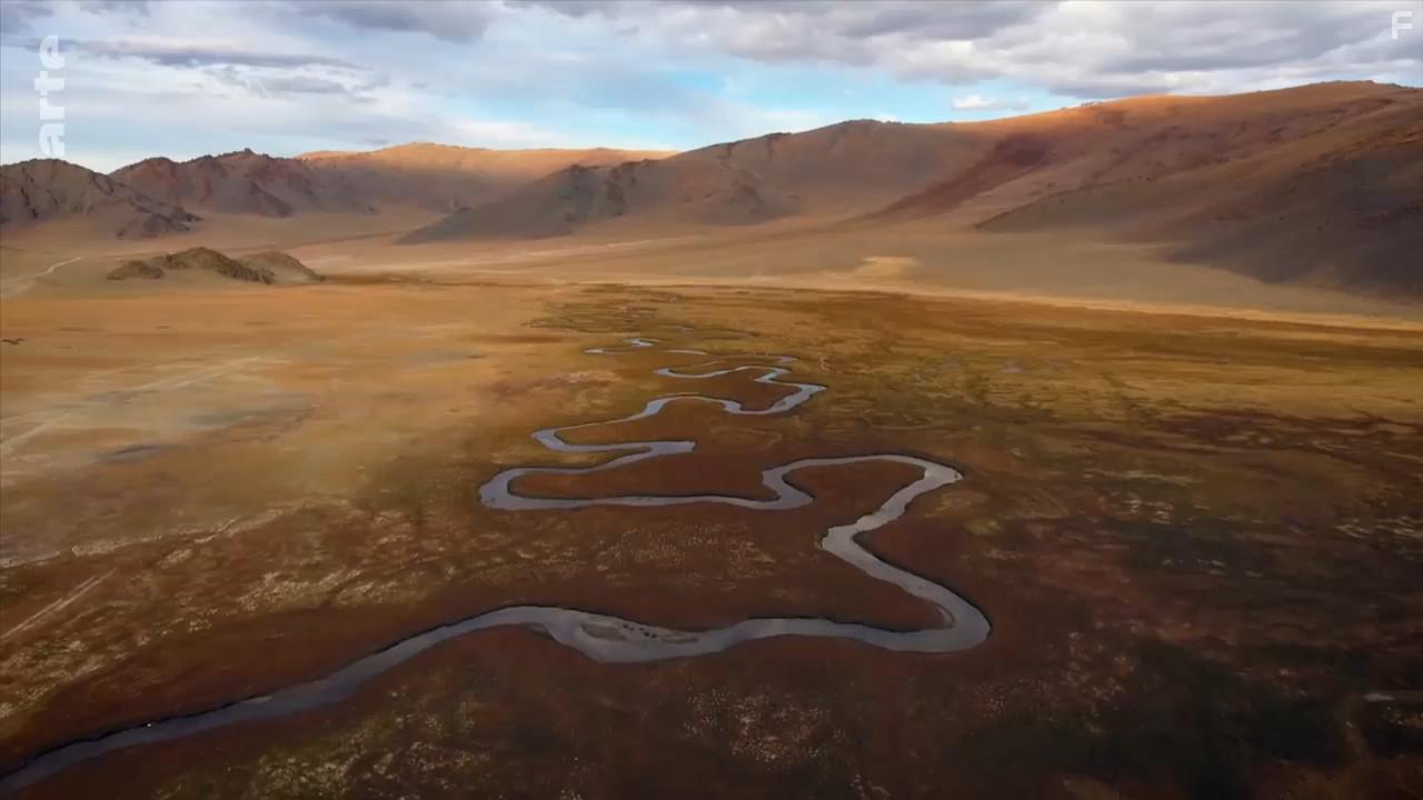 A Wild Year on Earth (2020)