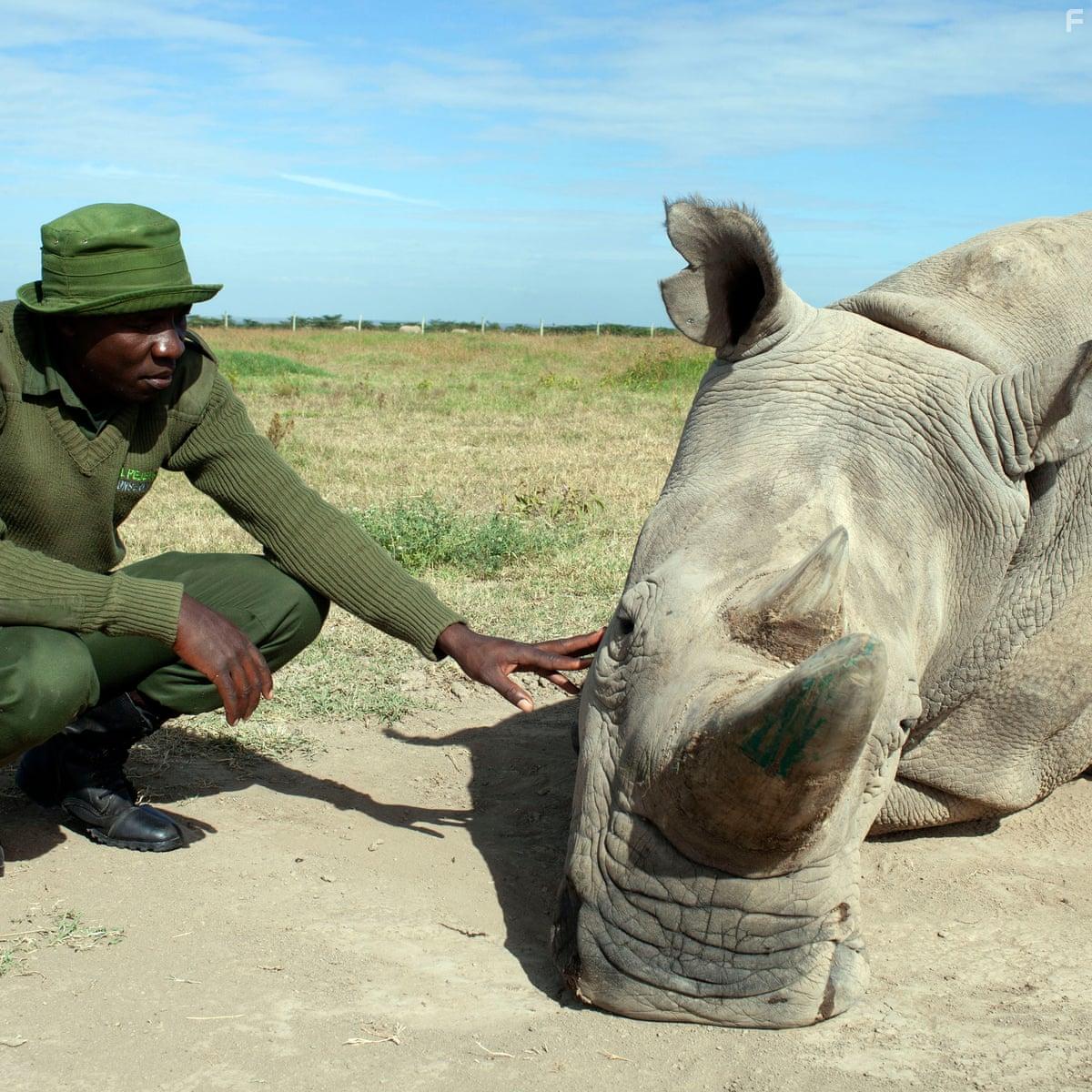 Extinction: The Facts (2020)