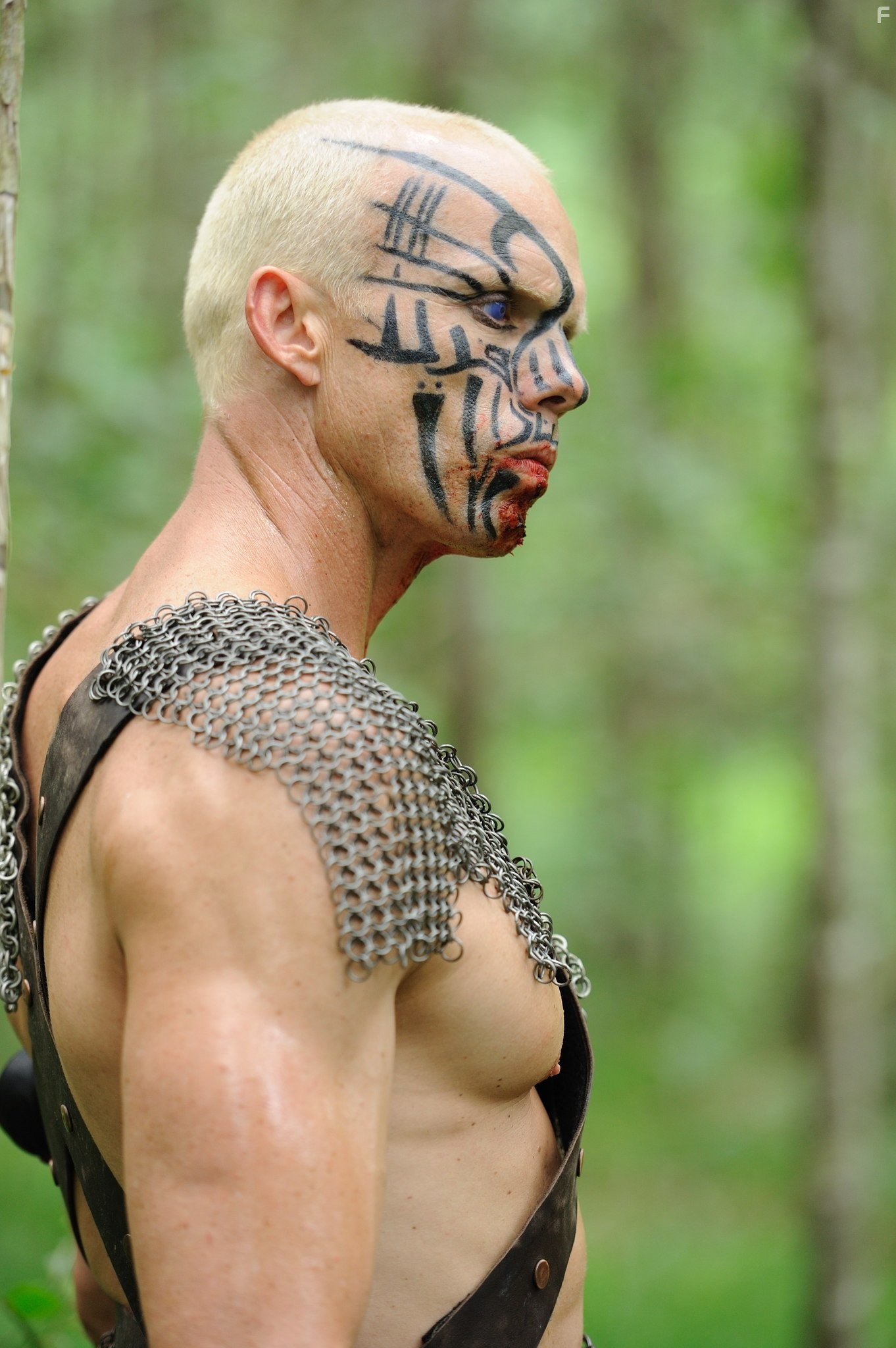Jared Robinsen in Sinbad and the Minotaur (2011)