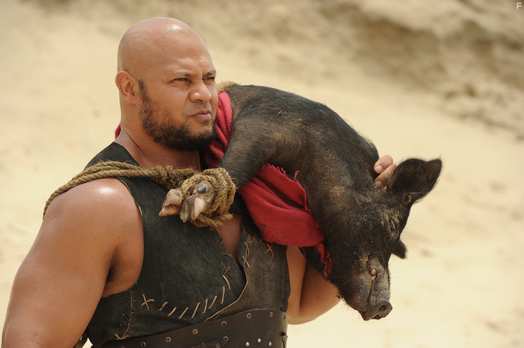 Sinbad and the Minotaur (2011)