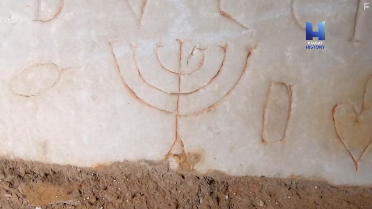 Secrets of the lost Ark (2021)